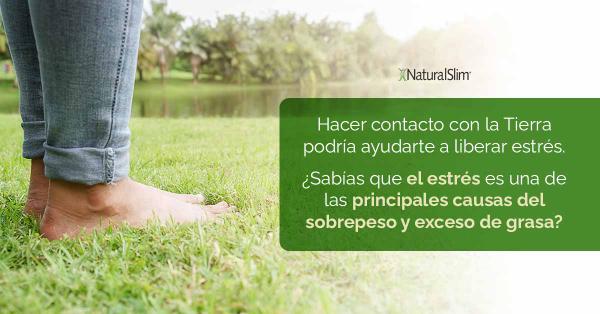 Conexión a tierra: qué es y sus beneficios