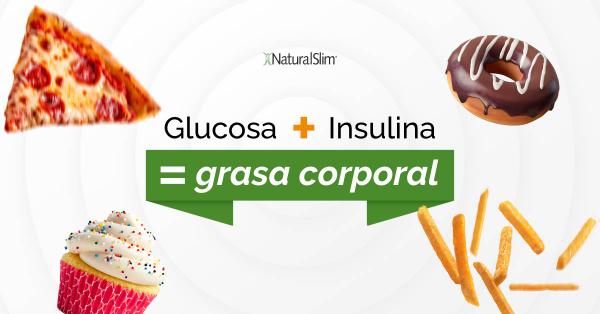 ¿Cómo se crea la grasa en el cuerpo?