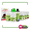 Kit Súper Batida Mañanera C Plus - 3 Frascos de Batida C Plus, Coco - 10 Plus®, FlaxOil, LeciClean®, Libro de Recetas + Shaker de Regalo | Envío GRATIS - NaturalSlim USA